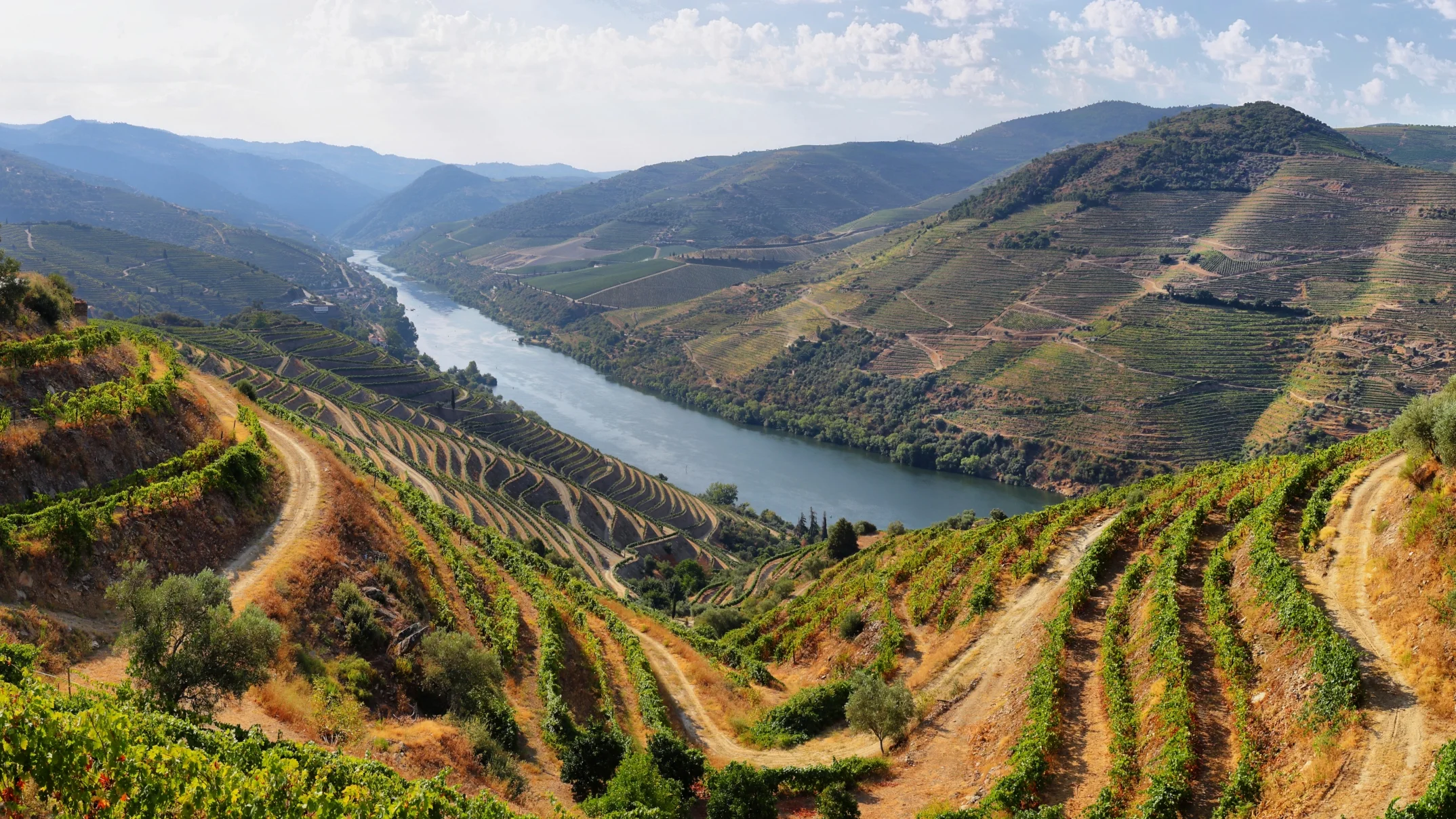 Portuguese wines online