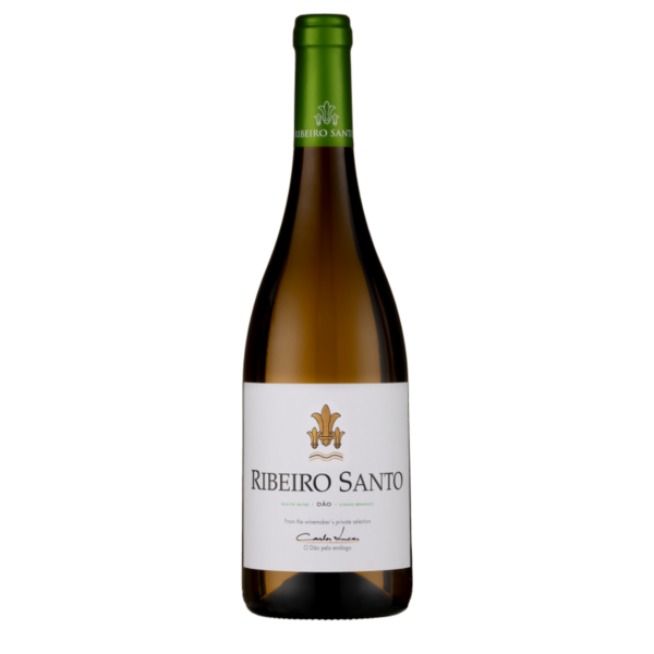 Ribero Santo Branco