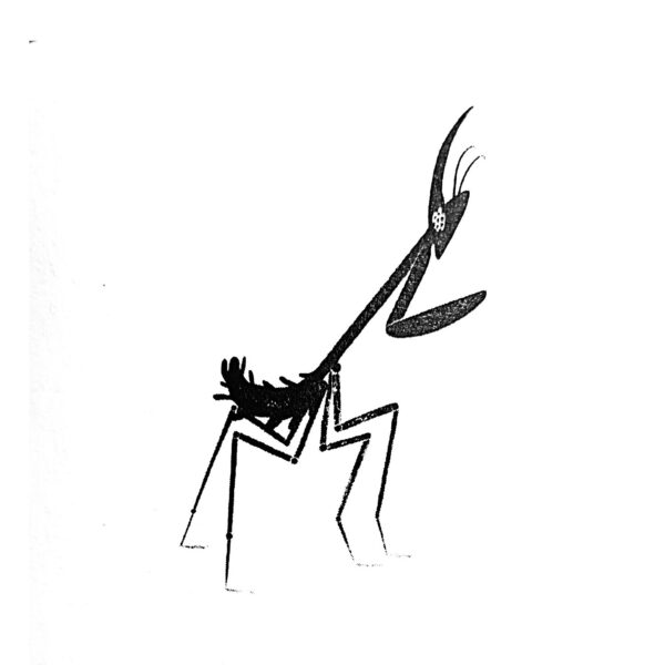 Menina D'Uva Empusa