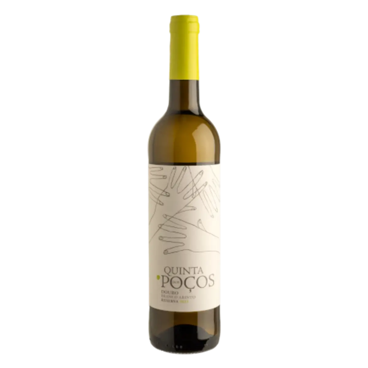 Vinho Branco Reserva 2023