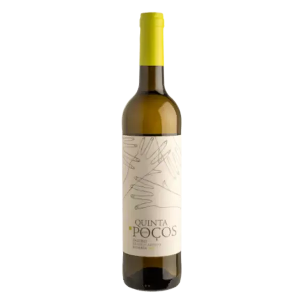 Vinho Branco Reserva 2023